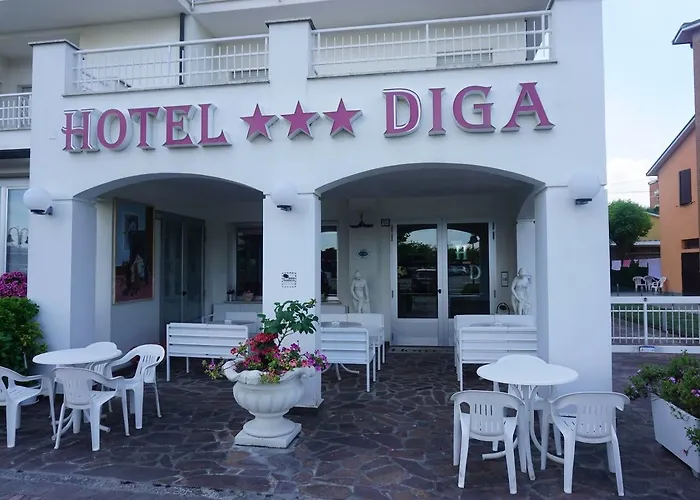 Diga Hotel 3*
