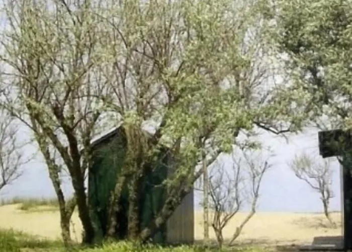 Diga Marina di Ravenna