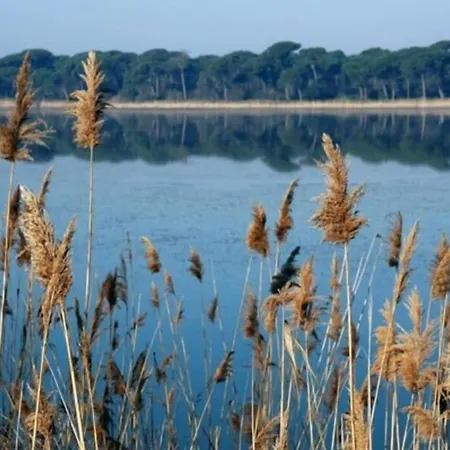 מלון Diga מרינה די רוונה