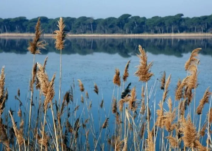 מלון Diga מרינה די רוונה