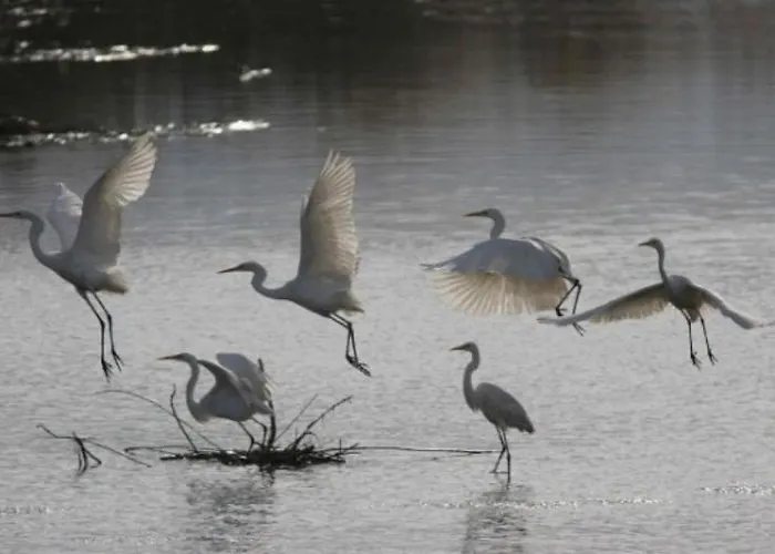 酒店 Diga 马里纳－迪拉文纳